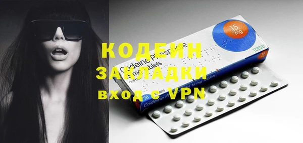 индика Снежинск