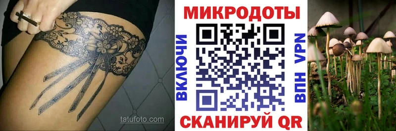 Галлюциногенные грибы мицелий  Нижняя Салда 